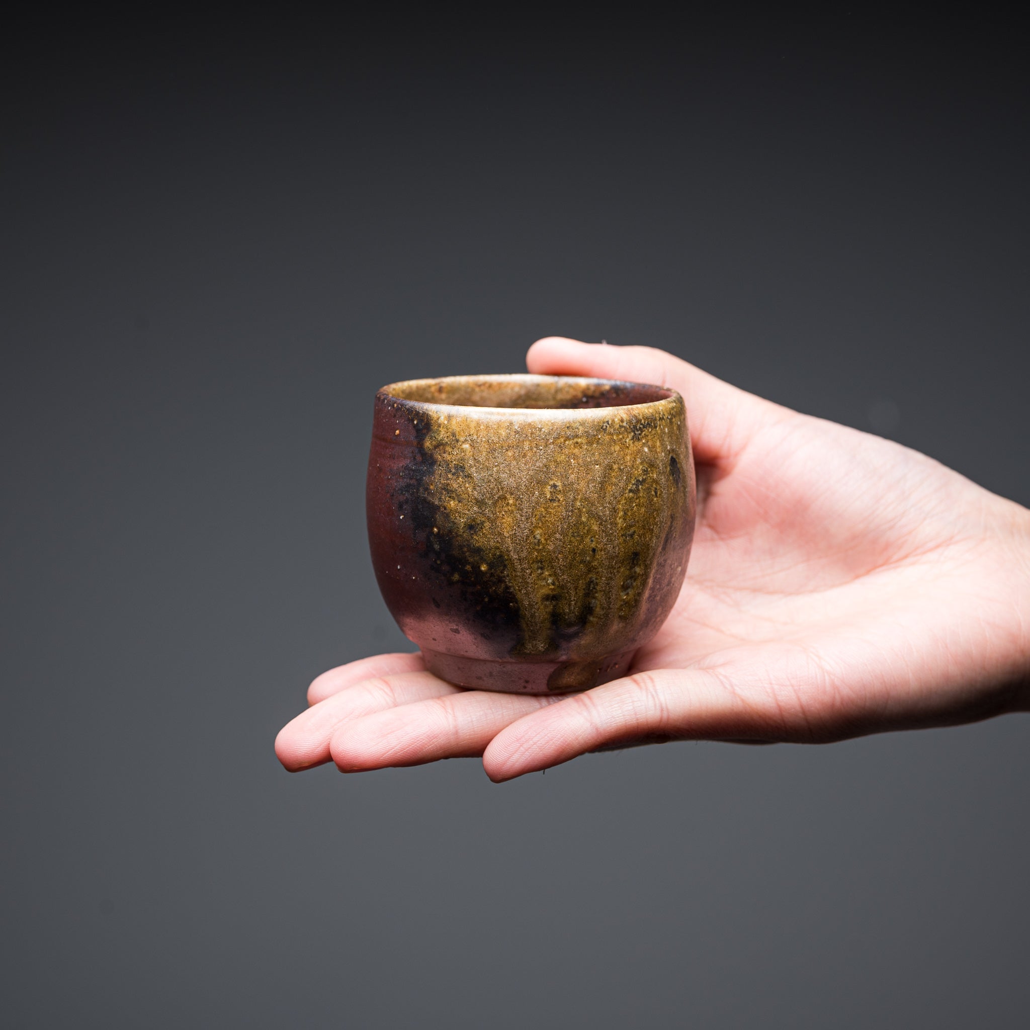 Bizen Pottery Traditional Japanese Sake Cup - Handcrafted Goma Glaze Ceramic Sake Drinking Vessel for Authentic Japanese Dining Experience
