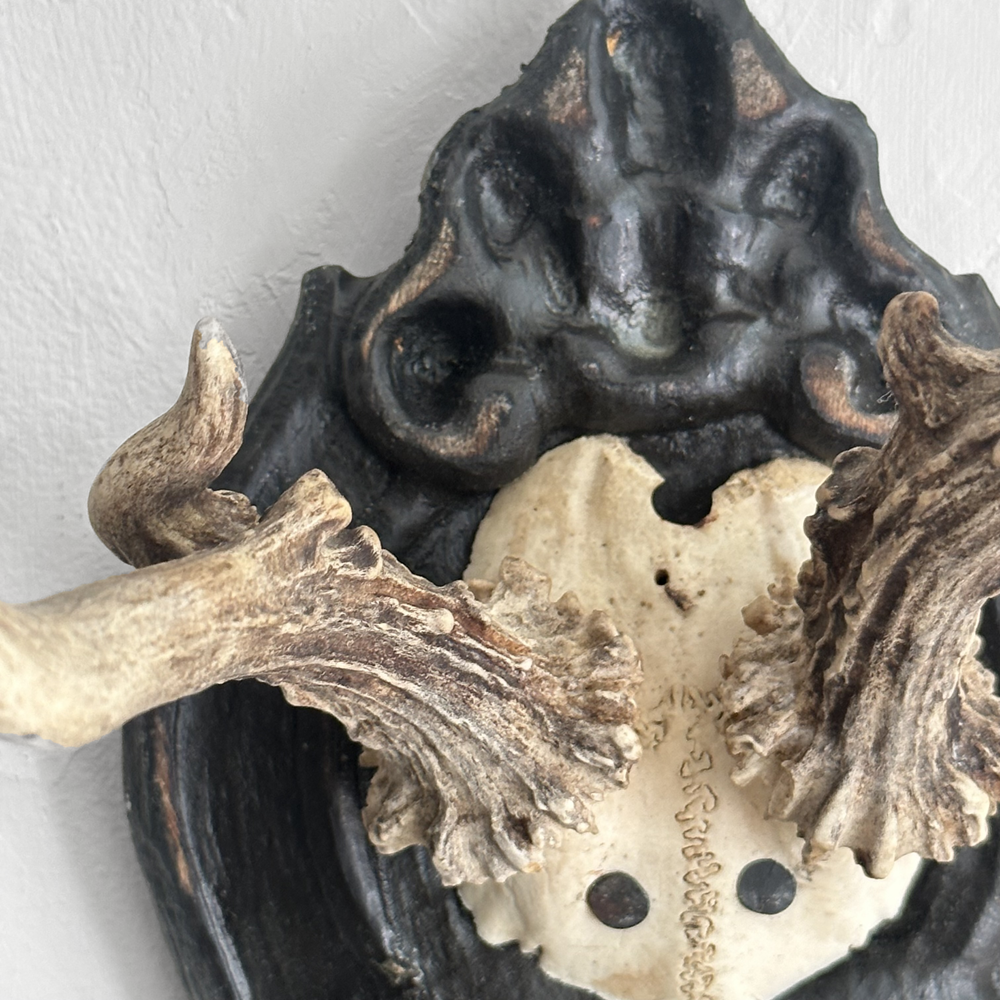 Black Forest Antlers on Carved Wood Plaque - Handcrafted Deer Antler Decor for Hunting Lodge, Cabin & Rustic Home Decor - Perfect for Wall Display in Living Room, Study or Man Cave