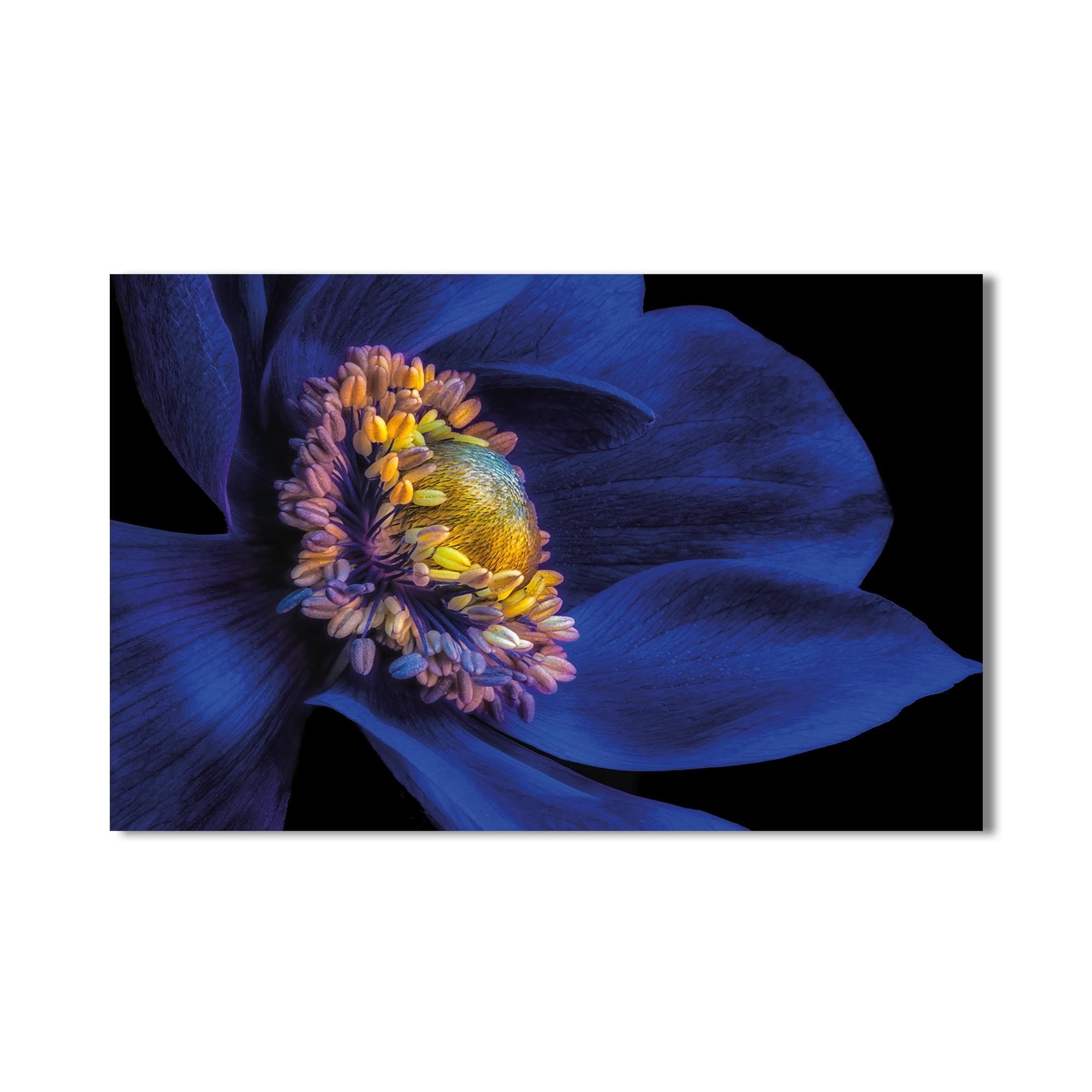 Passionflower Extract Supplement - Natural Stress Relief & Sleep Aid - Organic Herbal Calming Remedy for Anxiety & Relaxation - Perfect for Meditation, Yoga & Nighttime Use