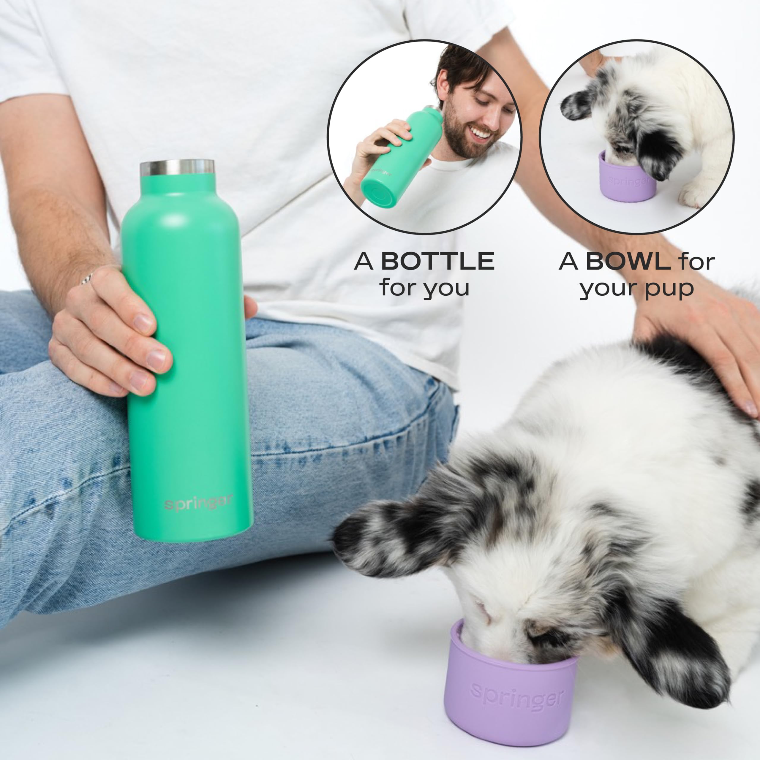 Springer Dog and Me 24oz Stainless Steel Insulated Water Bottle - Keeps Cold for 12+ Hours, Leak-Proof Portable Dog Water Bottle with Built-in Travel Bowl for Hiking, Camping, and Outdoor Adventures - Lilac/Green