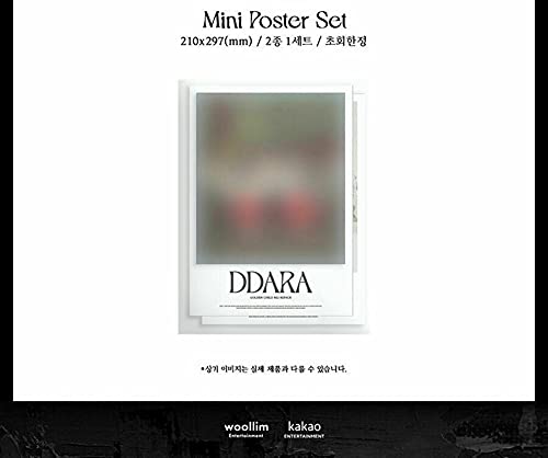 GOLDEN CHILD DDARA 2nd Repackage Album [A/B Version] - Random CD, Folded Poster, 76p Photo Book, 2 Photo Cards, Film Photo, Special Card & Pre-Order Bonus - Perfect for K-Pop Collectors & Fans