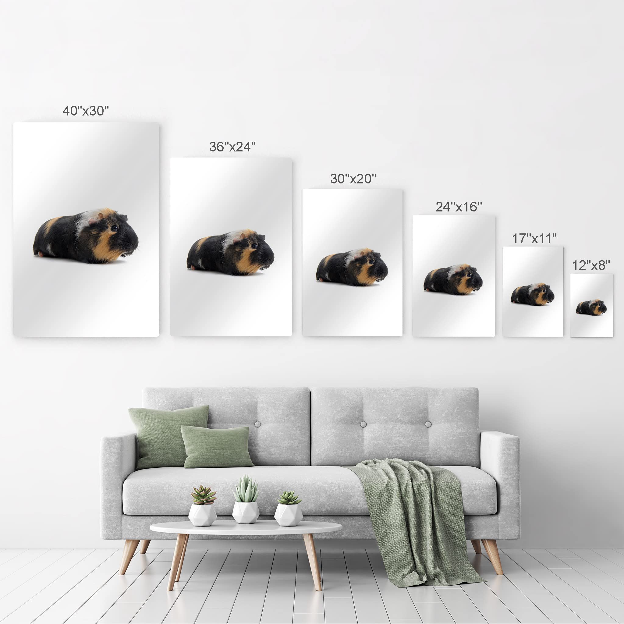 Smile Art Design Cute Black Guinea Pig Portrait Metal Wall Art Print - Pet Lover Gift, Rodent Decor for Office, Living Room, Bedroom, Nursery - Made in USA (17x11 in) - Perfect for Animal Lovers & Home Decor