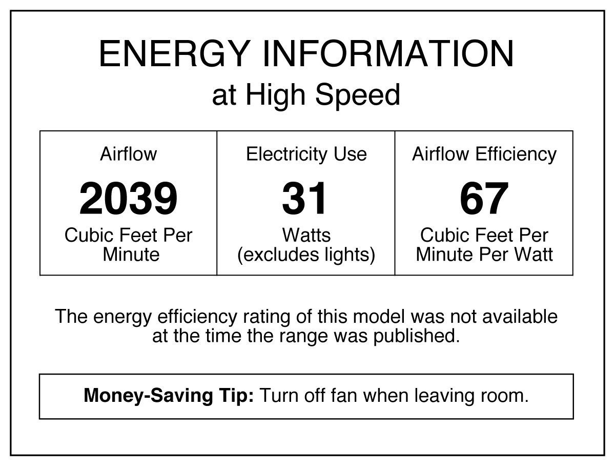 24 Inch Small Ceiling Fan with Light - 2 Pack, Quince Indoor Ceiling Fan in Gun Metal Finish, Reversible Black/Graphite Blades, LED Light Fixture with Opal Frosted Glass - Perfect for Bedroom, Living Room, and Office Spaces
