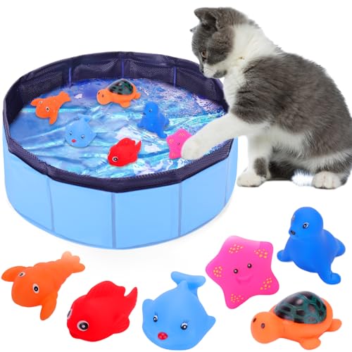 Colorful 6pcs Floating Fishes