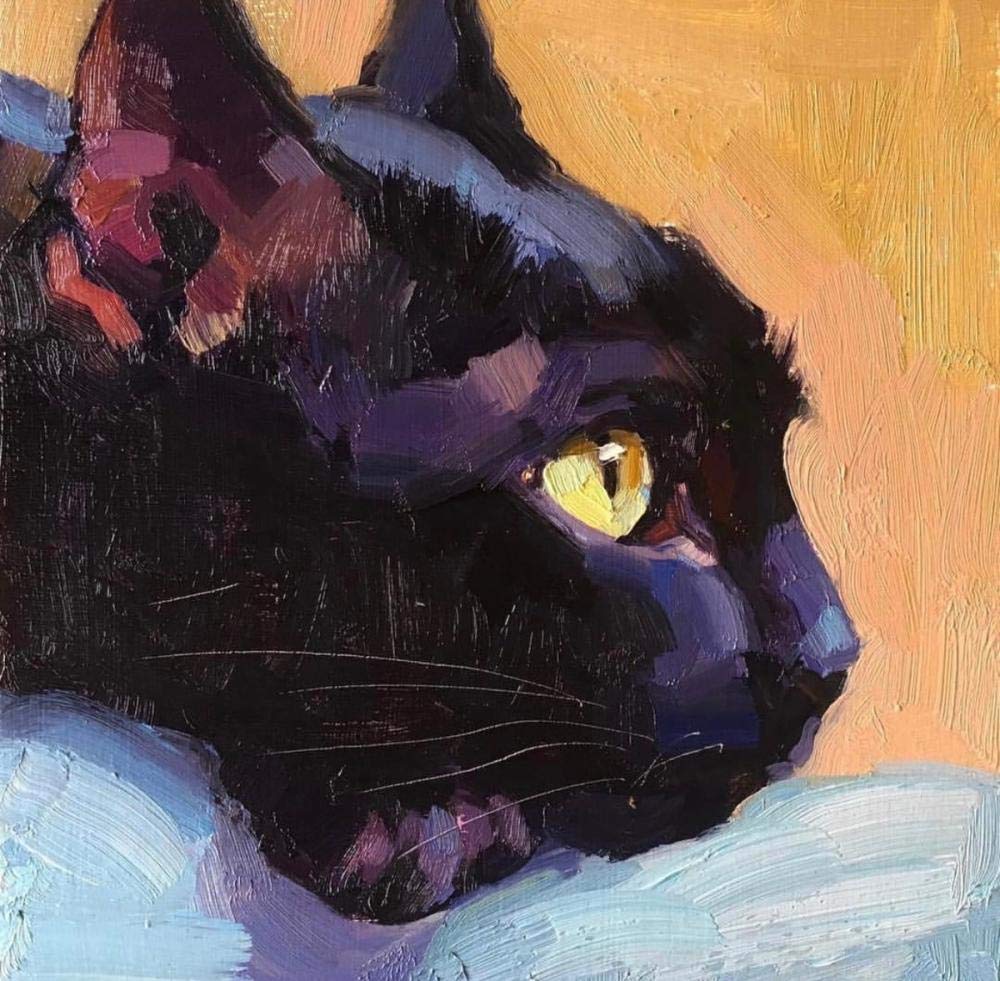 Tuxedo Cat Black Cat Pet Paint by Numbers Kit for Adults & Kids - DIY Oil Painting Canvas Art Gift Set 40x50cm - Home Decor, Wall Art, Stress Relief & Family Activity
