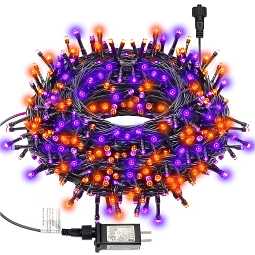 Purple & Orange