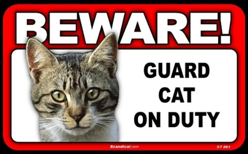 HPILISH Beware Guard Cat on Duty Sign - Funny Tabby Cat Warning Sign for Home Security, Office Decor & Gift Ideas