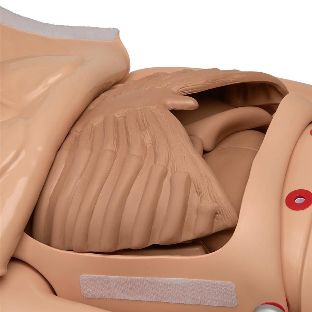 CPR Susie® Advanced Patient Care Simulator - Medium Size for Medical Training & Emergency Response Practice | Perfect for Nursing Schools, EMT Training & Healthcare Professionals