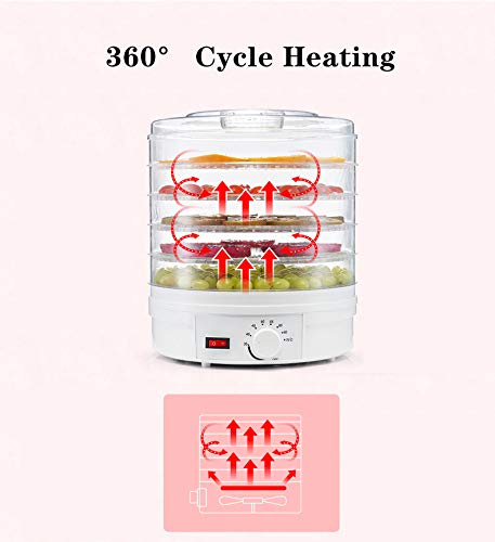 110V AnEssOil Food Dehydrator - Stainless Steel Electric Drying Machine for Fruits, Vegetables, Herbs & Meat | Healthy Snacks Maker for Home, Camping & Food Preservation