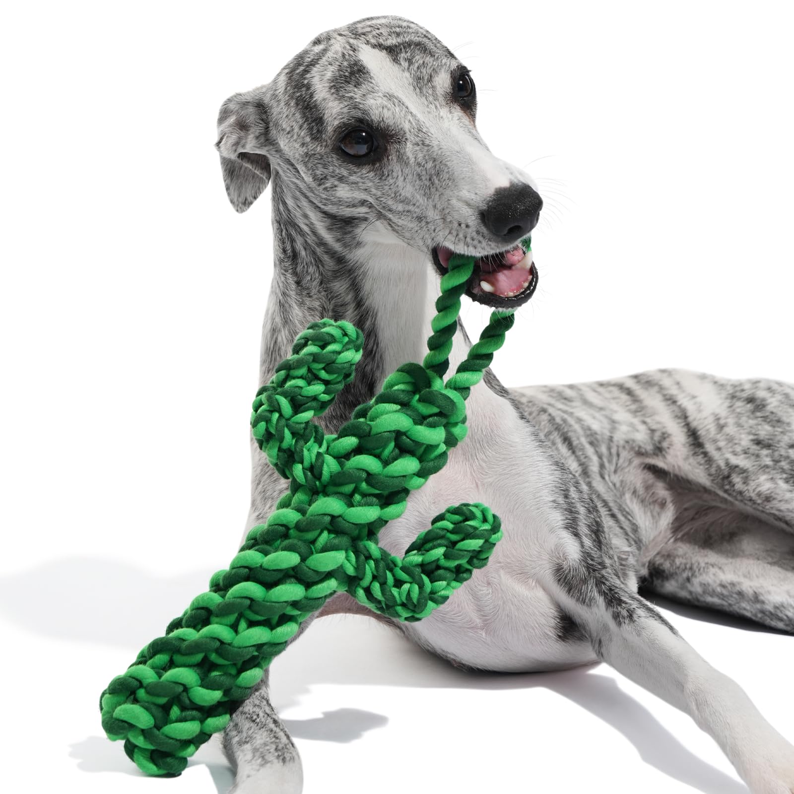 Durable Dog Rope Toys for Large Breed - Heavy Duty Tug of War Chew Toy with Ergonomic Grip | Puppy Training, Teething Relief & Interactive Play | Perfect Christmas Holiday Gift for Dogs (Cactus Design) - Great for Outdoor Play, Indoor Training & Bonding Activities