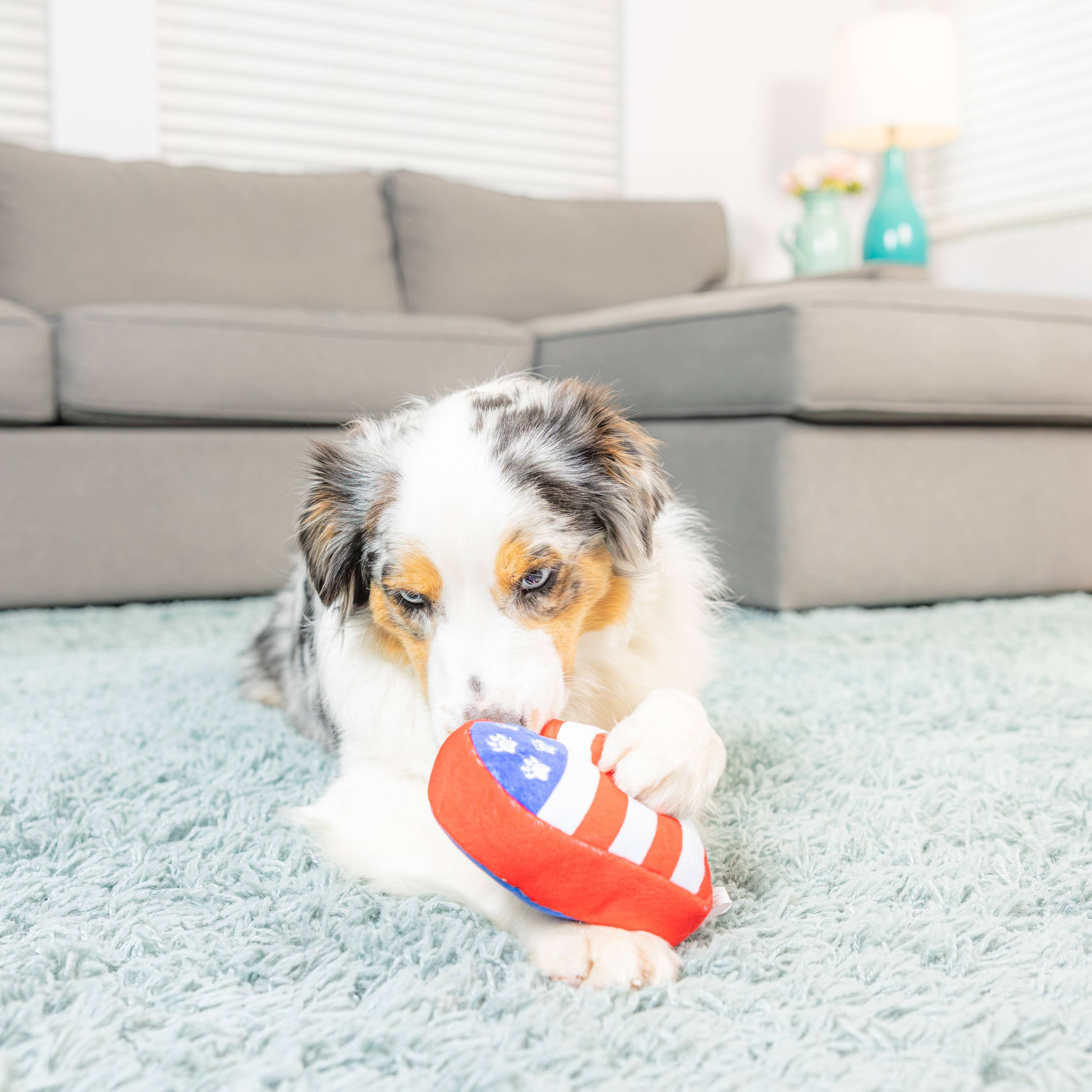 **Paws & Stripes Heart-Shaped Dog Chew Toy for Small Dogs – Durable & Fun Pet Chewing Toy for Puppies, Teething, and Playtime**