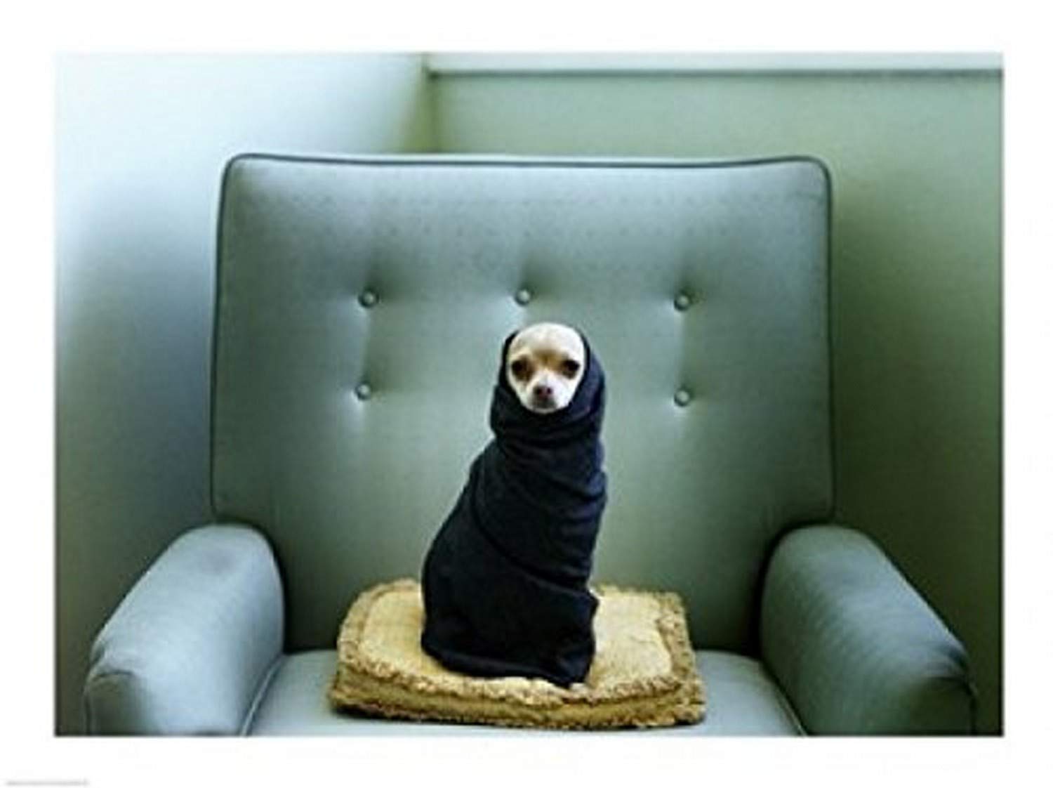 Chihuahua Wrapped in Blanket on Couch Poster Print - 24x18 Inches - Cute Dog Wall Art for Living Room, Bedroom & Office Decor