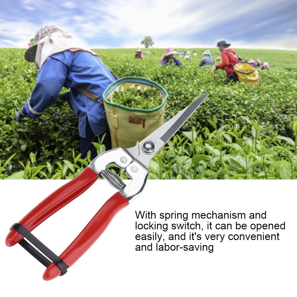 Sturdy Stainless Steel Pruning Shears for Gardening, Fruit Trees & Bonsai