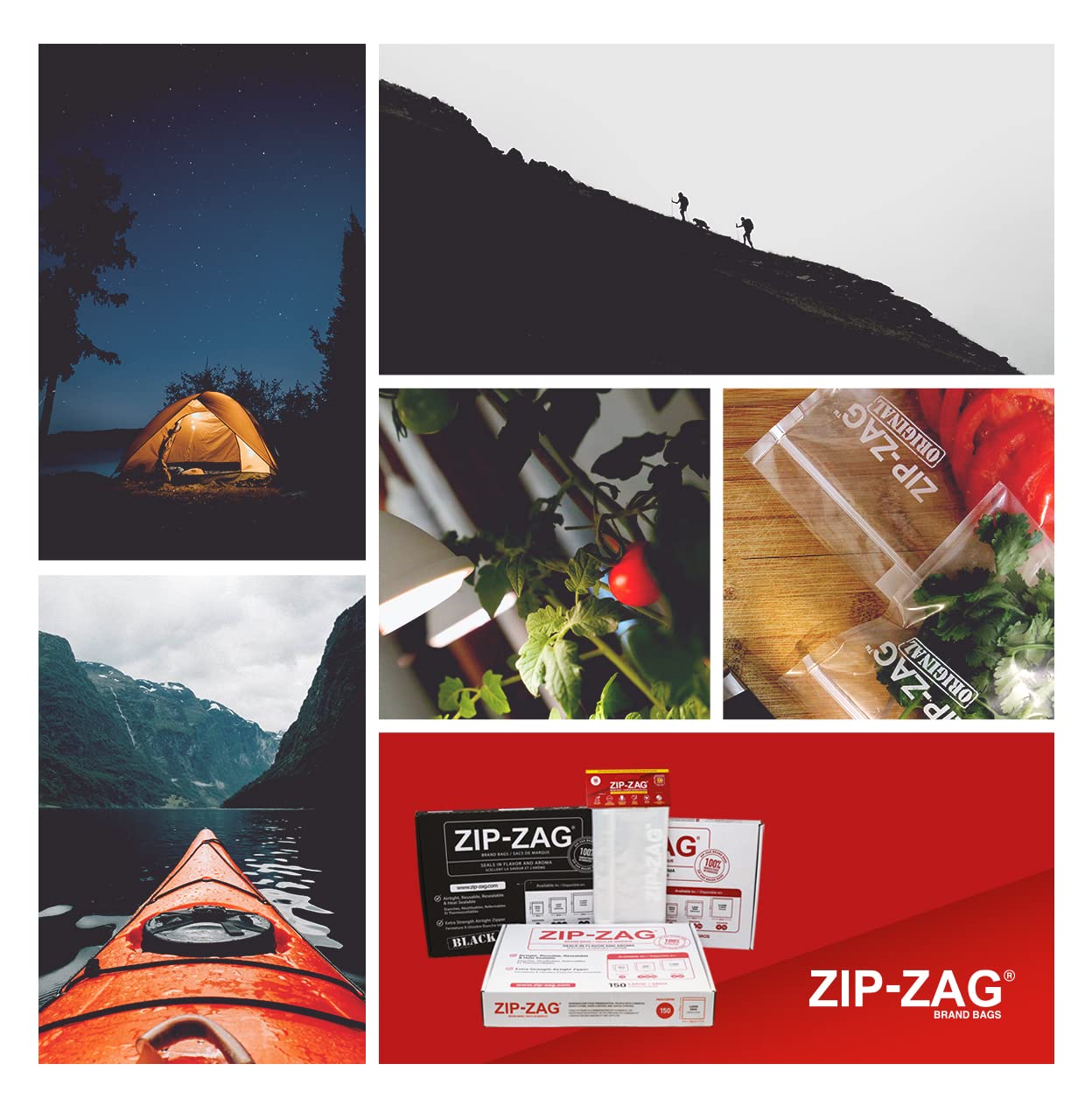 100 Pack 1 LB Zip Lock Bags (16.93