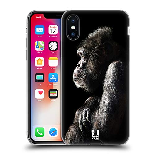 Male Chimpanzee