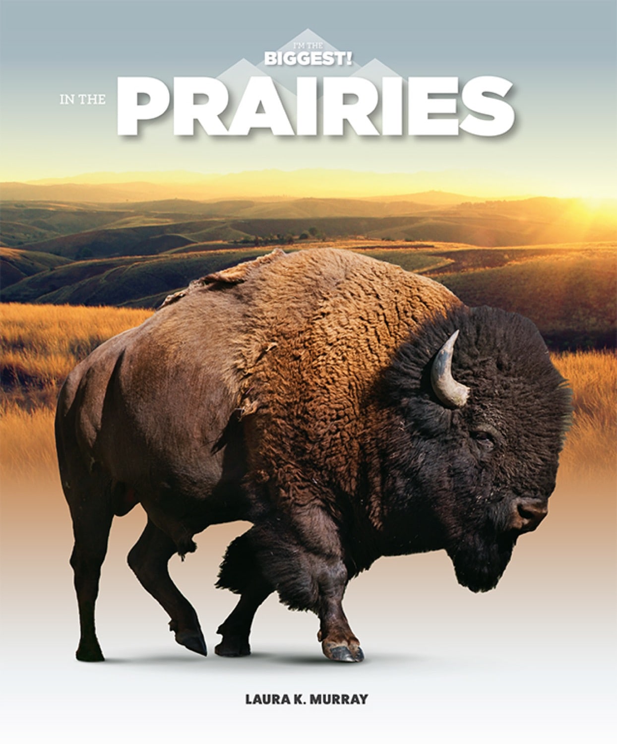 Prairie Life: A Novel - ISBN 9781640260634 | Perfect for Book Clubs & Nature Lovers