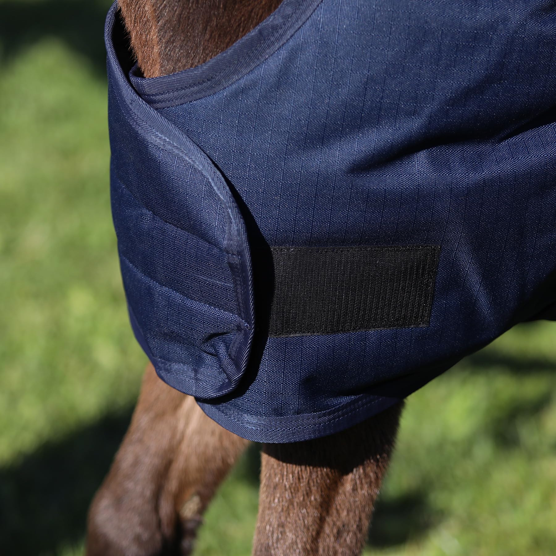 Waterproof Euro Fit Bellyband Foal Horse Turnout Blanket - Mini Horse Winter Blanket for Foals & Ponies | Ideal for Cold Weather, Rain Protection & Stable Use