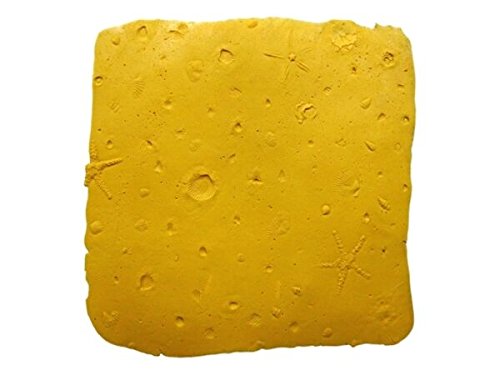 3x3 ft Seamless Concrete Stamp Texturing Skin - 10+ Authentic Decorative Patterns for Concrete, Cement & Overlay (Seascape Ocean Floor Design) - Perfect for DIY Patios, Walkways & Driveway Resurfacing Projects