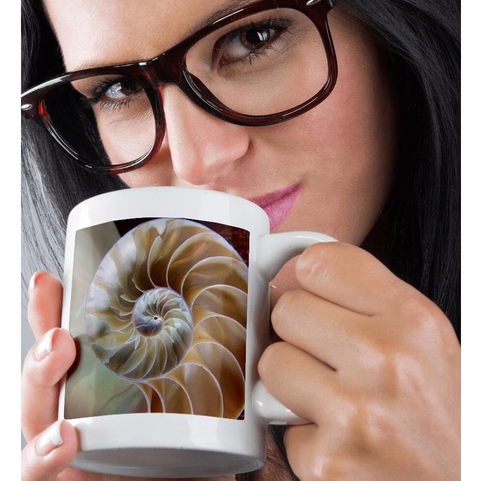 3D Rose Nautilus Up Close Ceramic Coffee Mug - 11 oz Ocean Theme Gift for Marine Lovers - Perfect for Home, Office & Beach House Use
