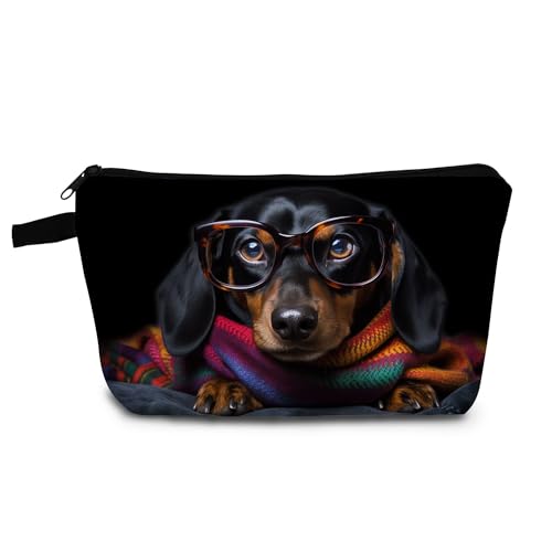 Dachshund 02