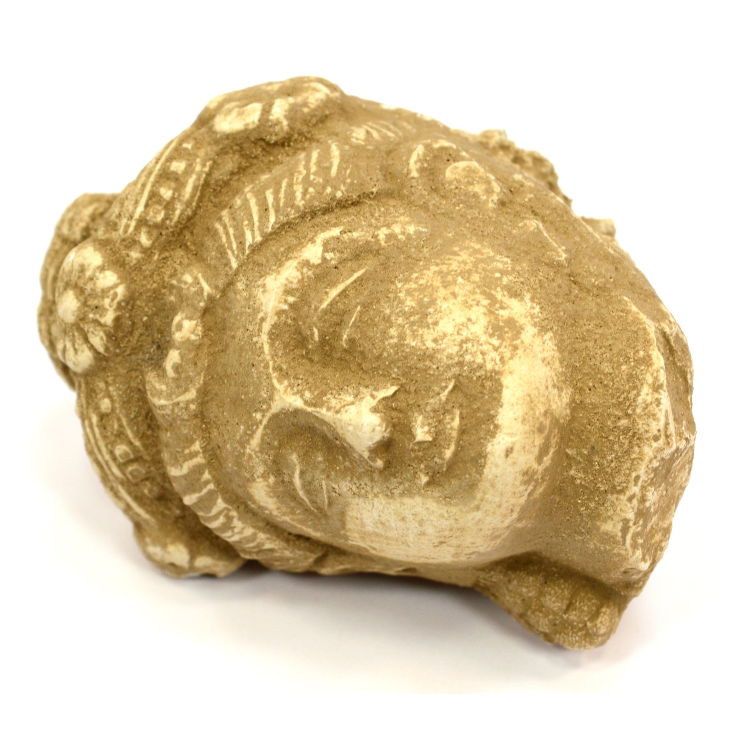 Ancient Gandharan Stucco Head of Bodhisattva - Hand Carved Stone Buddhist Artifact - Perfect for Home Altar, Meditation Space & Asian Art Collection