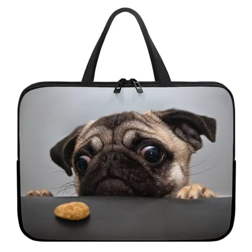 Funny Pug Animal