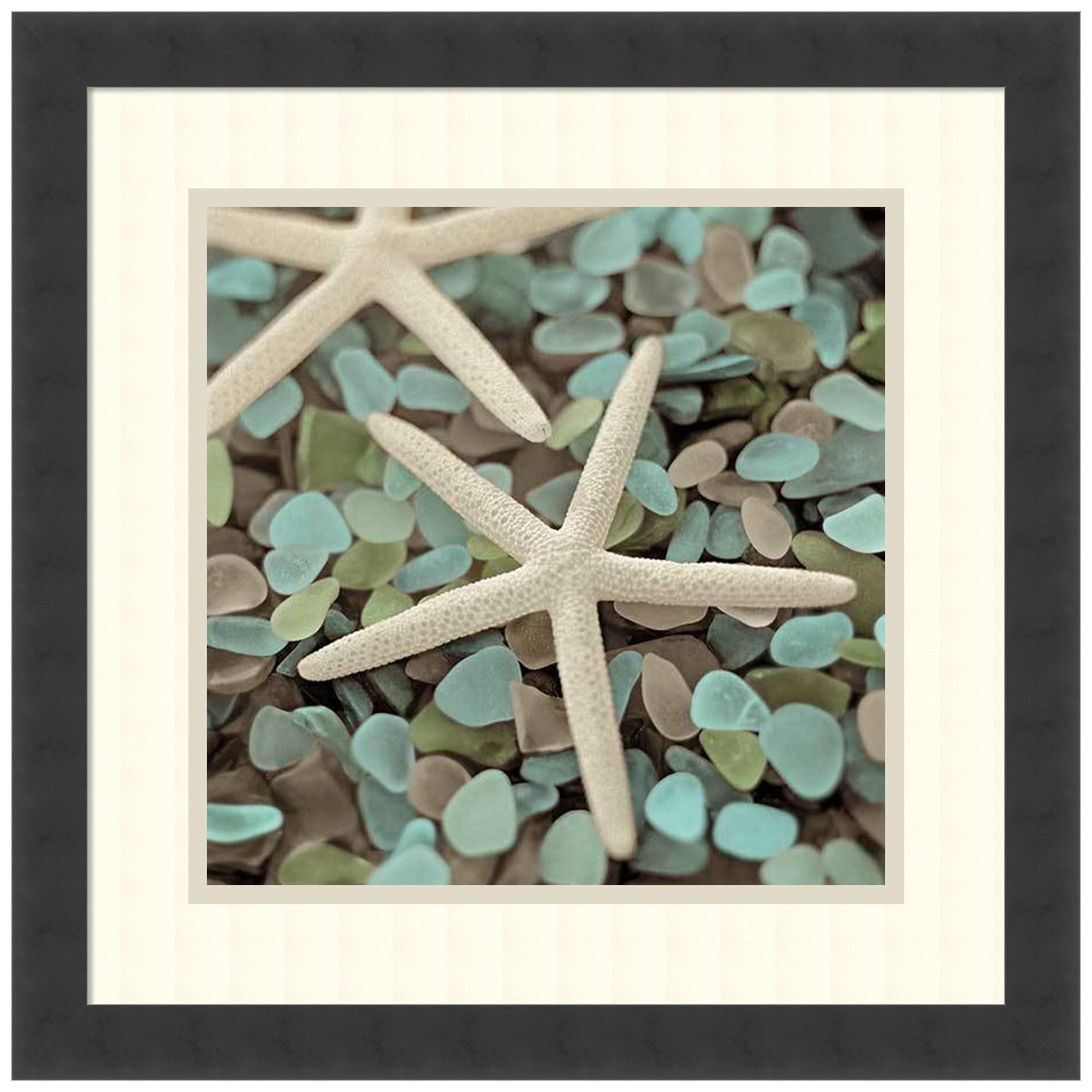 Framed Wall Art Print | Modern Contemporary Home Decor | Aquatic 1 by Alan Blaustein | Ocean Theme Wall Art for Living Room, Bedroom & Office
