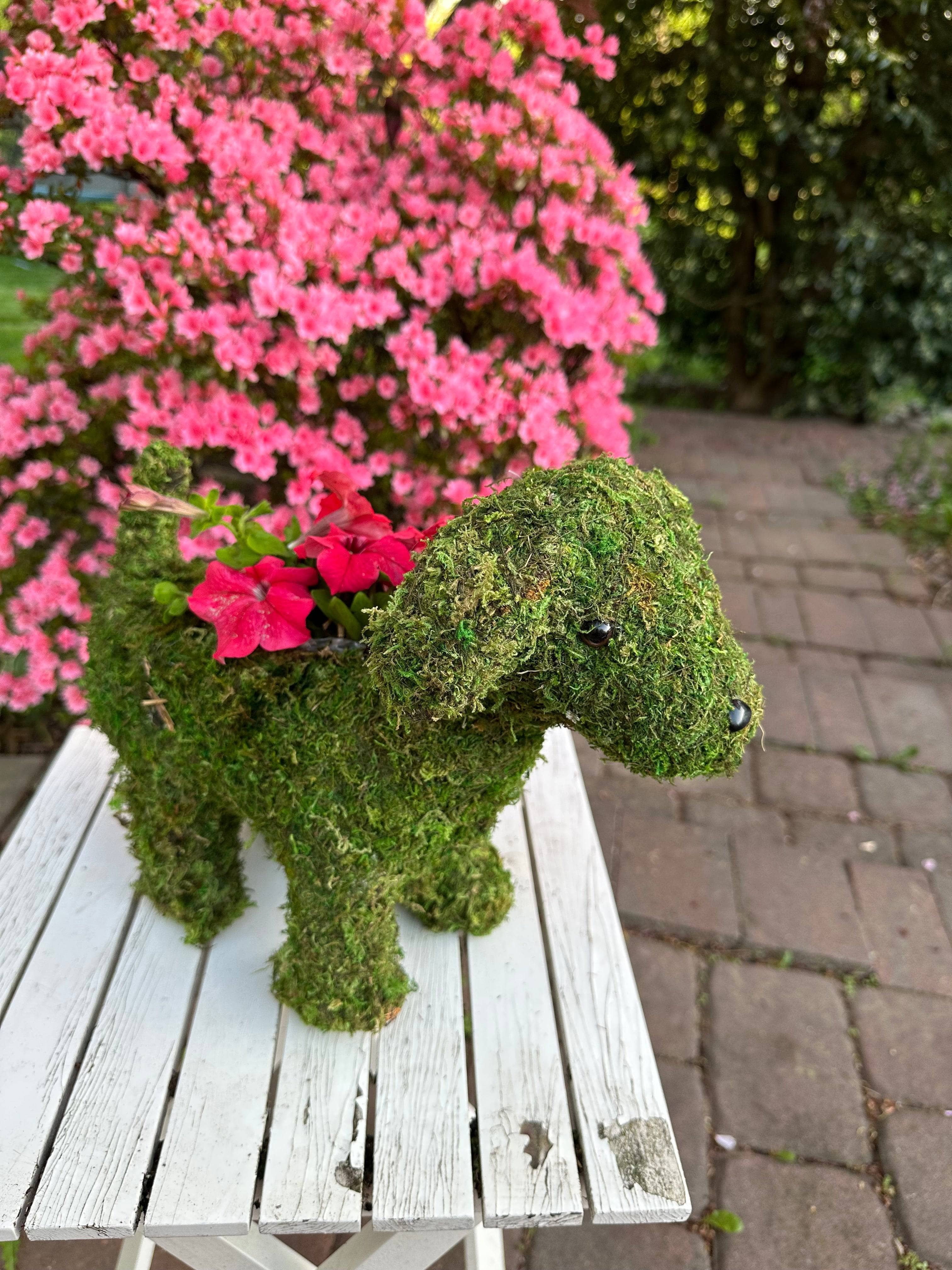 13 Inch Puppy Moss Planter - Cute Indoor Succulent Planter for Home & Office Decor - Perfect for Windowsills, Desks, and Gift Giving