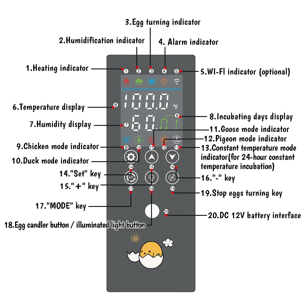 Automatic Egg Incubator for Chicken, Duck, Goose & Quail Eggs - 18-24 Egg Capacity with Auto Turning & Humidity Control - Includes Egg Candler for Hatching Success - Perfect for Home Poultry Farming & Backyard Hatcheries