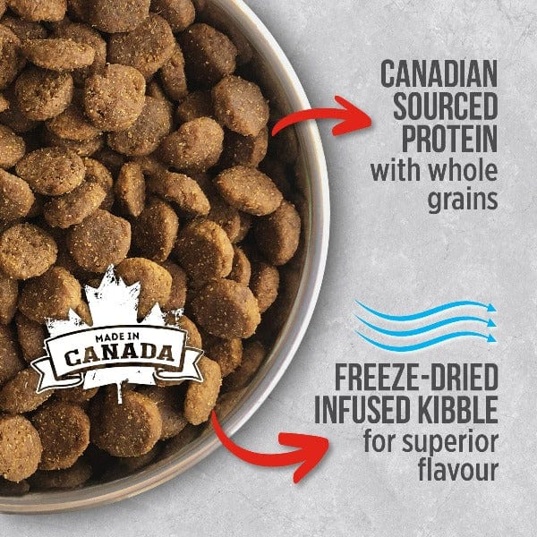 Nutrience Infusion Healthy Adult Beef Recipe Dry Dog Food - High Protein Grain-Free Kibble for Active Dogs - Perfect for Daily Meals & Training Rewards