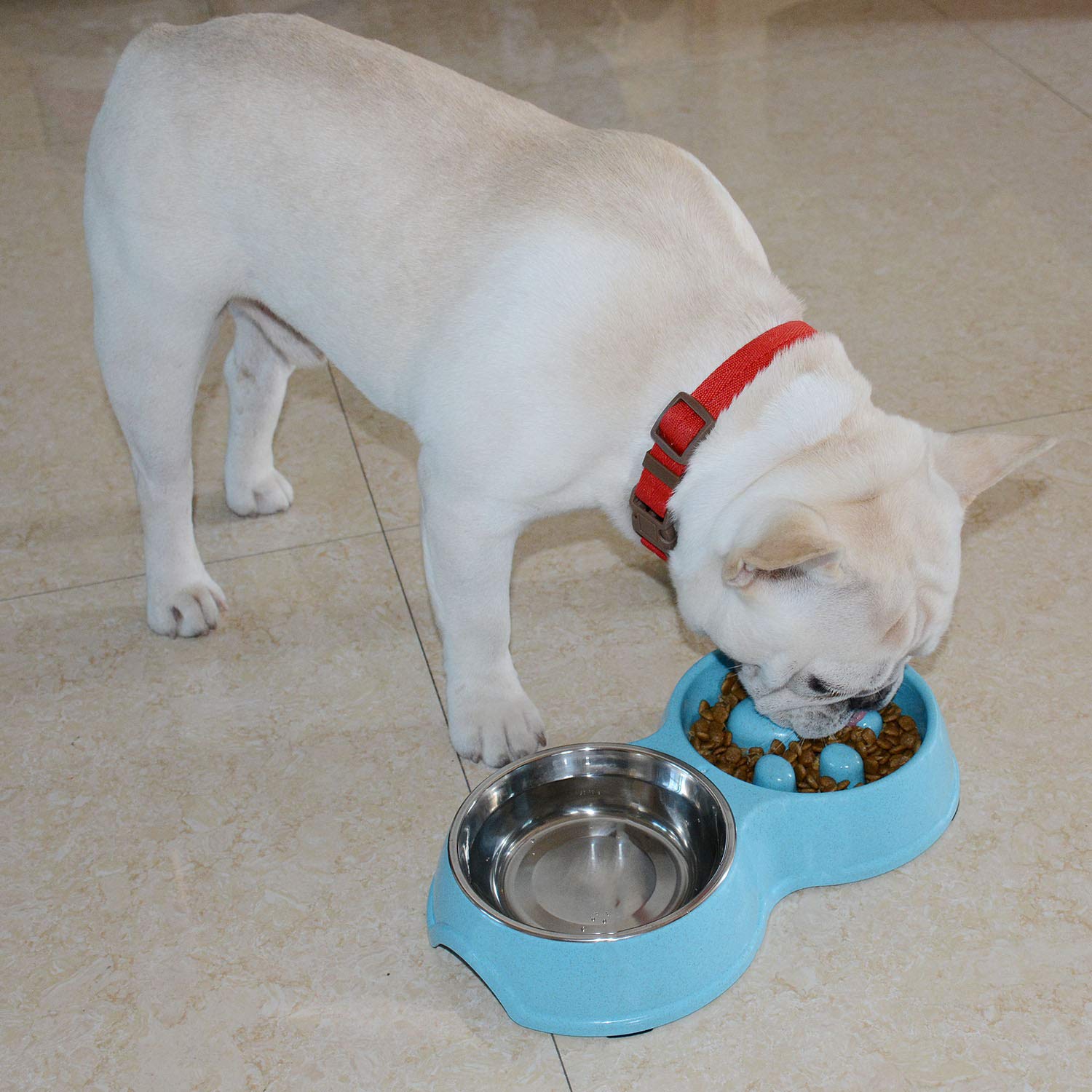 Stainless Steel Slow Feed Dog Bowl for French Bulldogs - Interactive Eco-Friendly Pet Bowl to Slow Down Eating & Drinking - Perfect for Frenchies, Small & Medium Dogs (Blue) - Great for Mealtime Fun & Portion Control