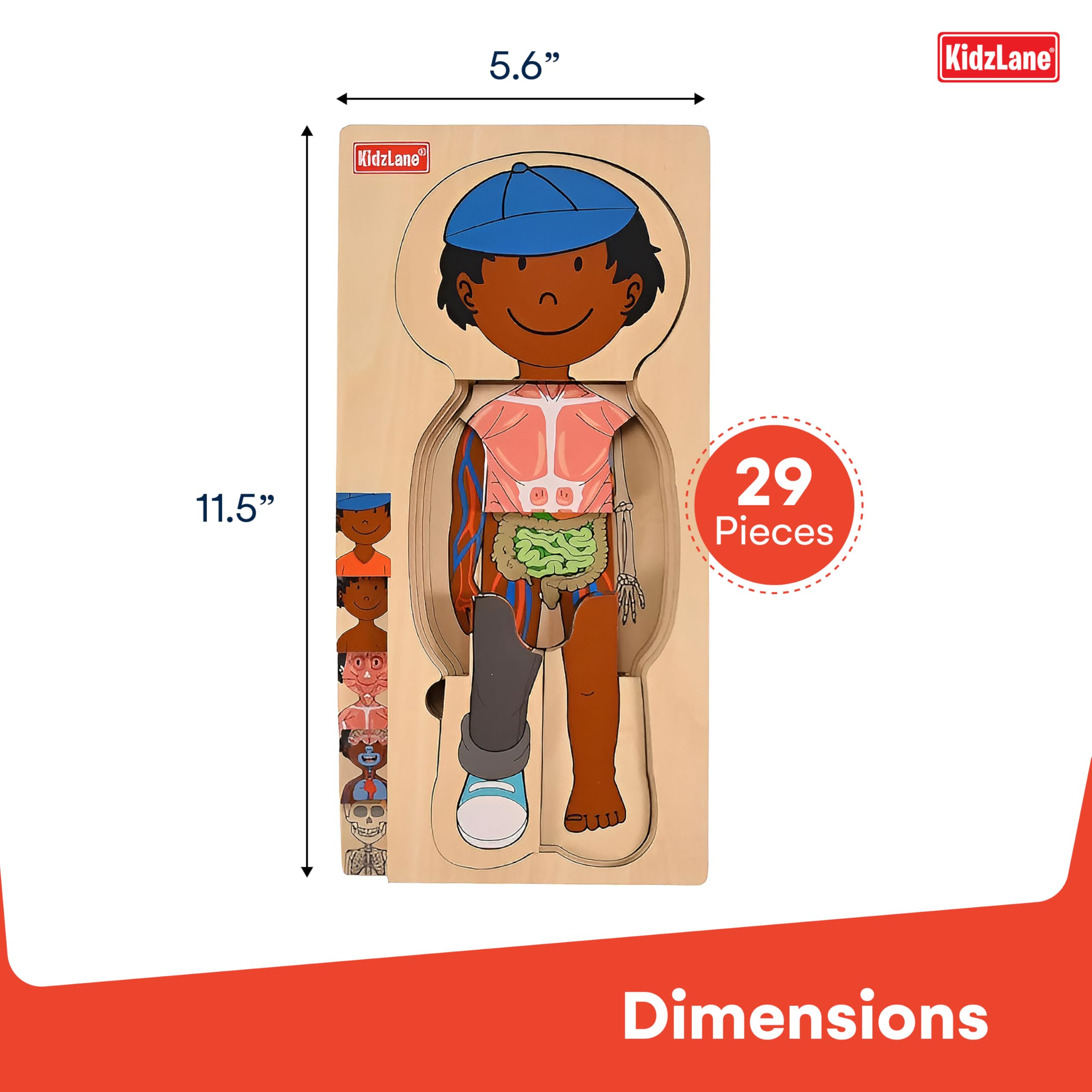 Kidzlane African American Boy Wooden Anatomy Puzzle for Toddlers & Kids - 29 Piece Educational Body Puzzle Set - Skeleton Learning Toy for Ages 3+ | STEM Learning, Preschool Classroom & Homeschool Activity