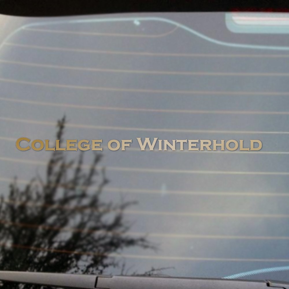 College of Winterhold Vinyl Decal - Gold Cosplay & Fan Gear for Skyrim Fans | Perfect for Laptops, Cars & Gaming Setups