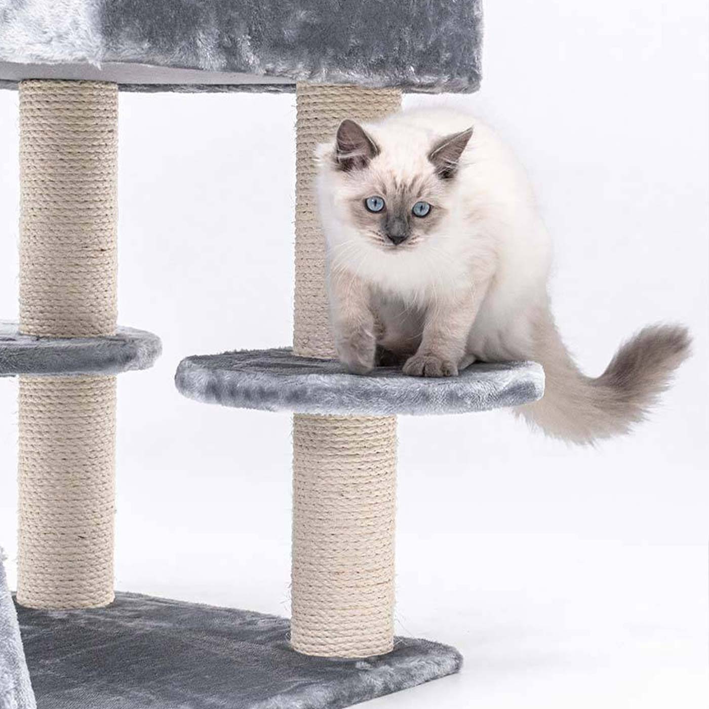 Little Rebels Tucson 61cm Cat Tree - Premium Scratching Post with Perch & Condo for Indoor Cats - Perfect for Play, Rest & Climbing in Small Spaces