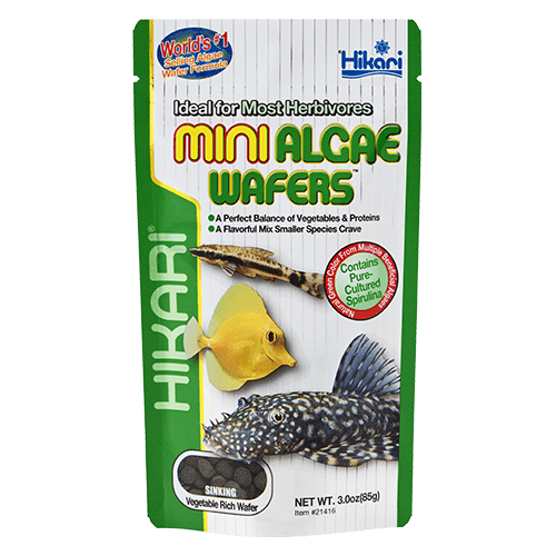 Hikari Tropical Mini Algae Wafers - Premium Fish Food for Tropical Fish, Herbivores & Bottom Feeders - Perfect for Aquariums, Tanks & Ponds