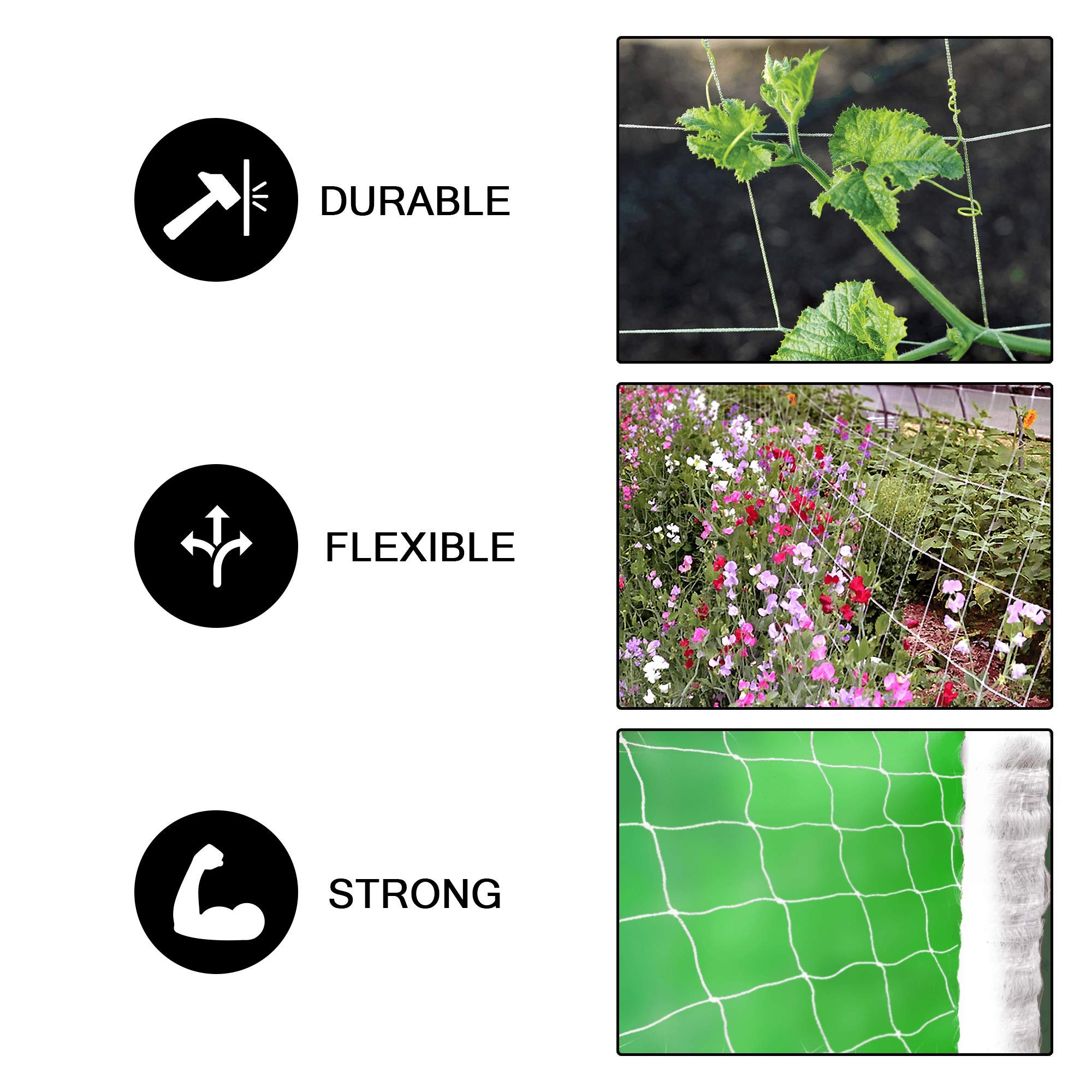 COMMON CULTURE 5x225 ft Heavy-Duty Garden Trellis Netting - Soft Mesh Nylon Plant Support for Climbing Vegetables, Vines & Flowers (2-Pack) + Free Trimming Scissors - Perfect for Tomatoes, Cucumbers & Vertical Gardening