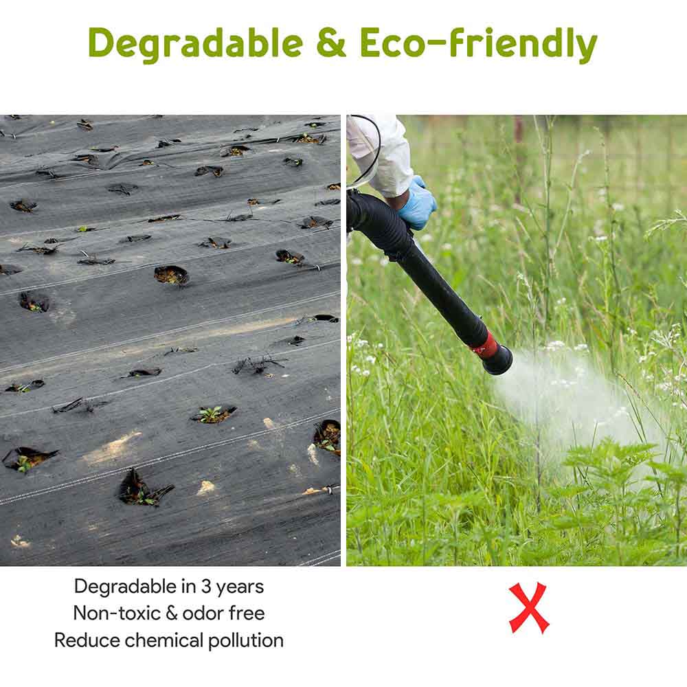 Premium 3ft x 250ft Weed Block Landscape Fabric - Heavy Duty 5.6oz Woven Polypropylene Ground Cover for Gardens, Lawns & Landscaping - Durable Weed Control Barrier for Flower Beds, Vegetable Gardens & Pathways