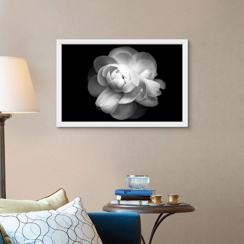 Black and White Ranunculus Flower Art Print - White Framed Floral Wall Decor for Living Room, Bedroom & Office