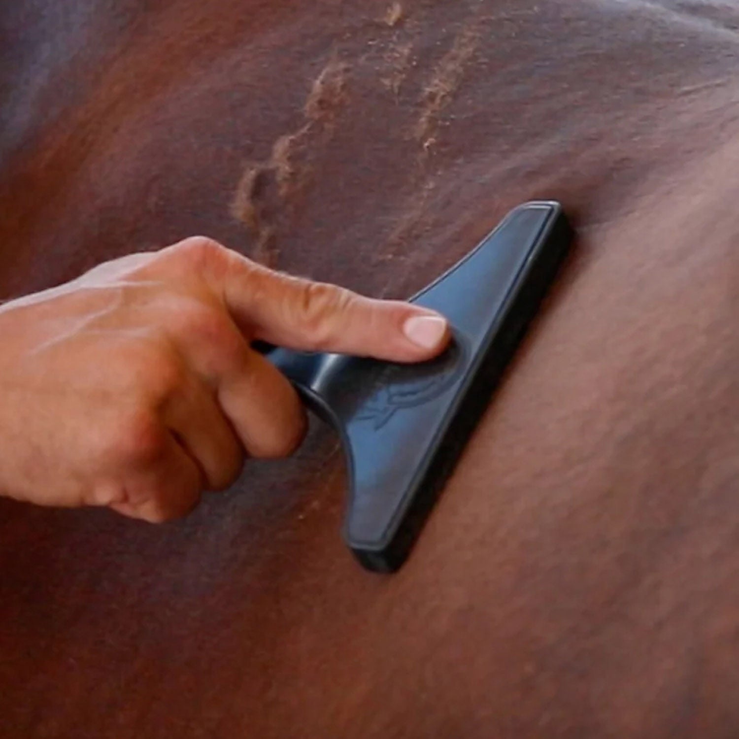 BioMane Horse Grooming Brush - Detangling & Shining Tool for Horses - Perfect for Daily Grooming, Show Preparation & Bonding with Your Horse