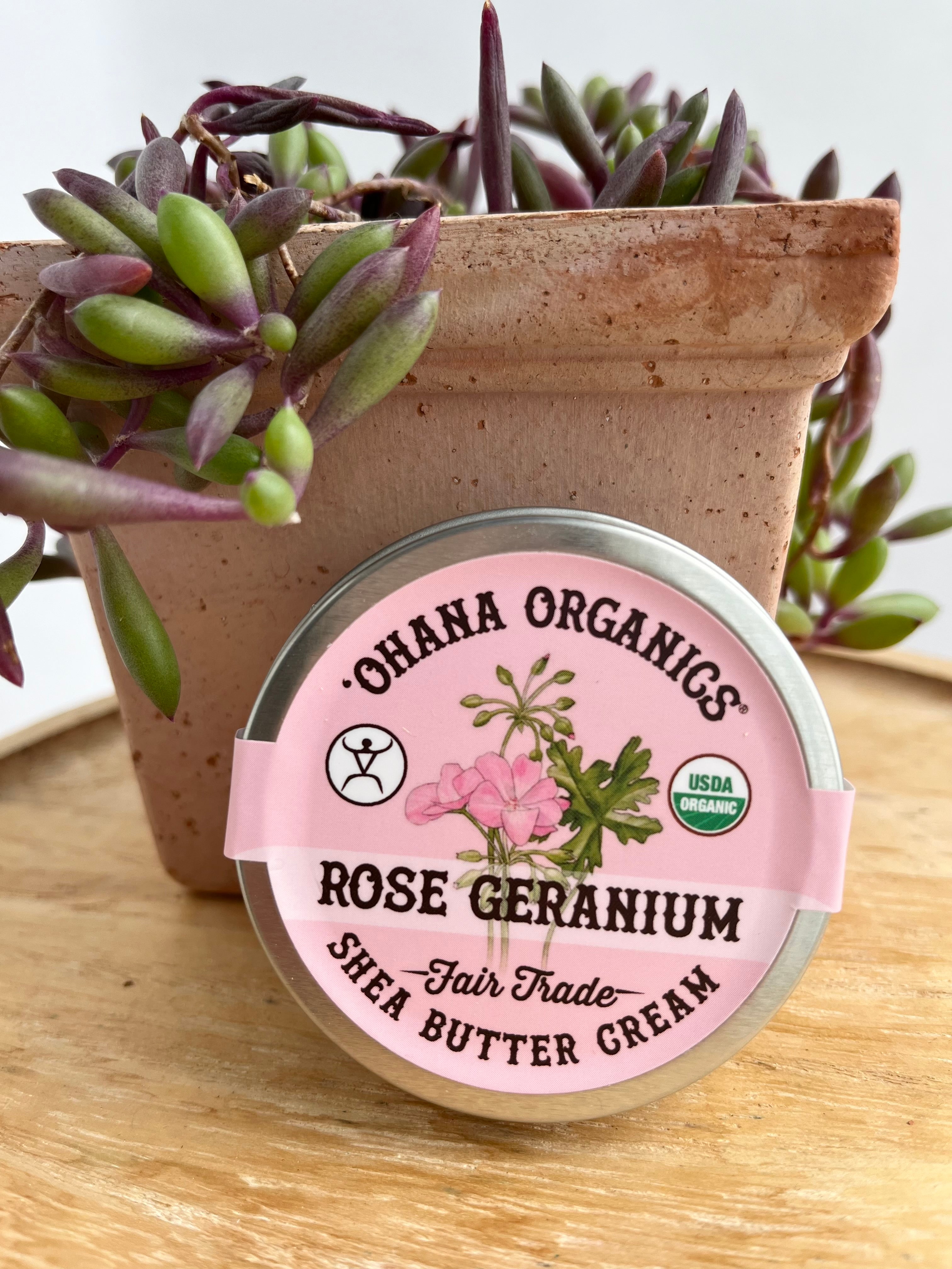 Ohana Organics 100% Pure Shea Butter Cream - Moisturizing & Nourishing for Dry Skin, Hair & Body - Perfect for DIY Beauty, Massage & Skincare Routine