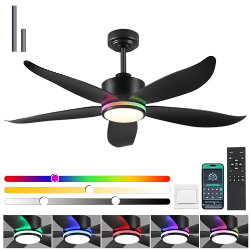 Black RGB