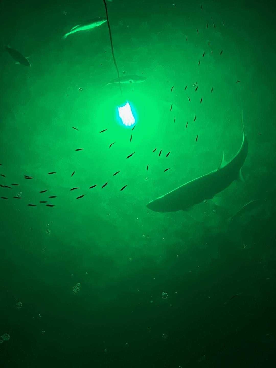Green Blob Outdoors Underwater Fishing Lights - 12V Battery Powered LED for Snook & Crappie (15000 Lumens, Green) - Perfect for Night Fishing & Attracting Fish in Lakes & Ponds