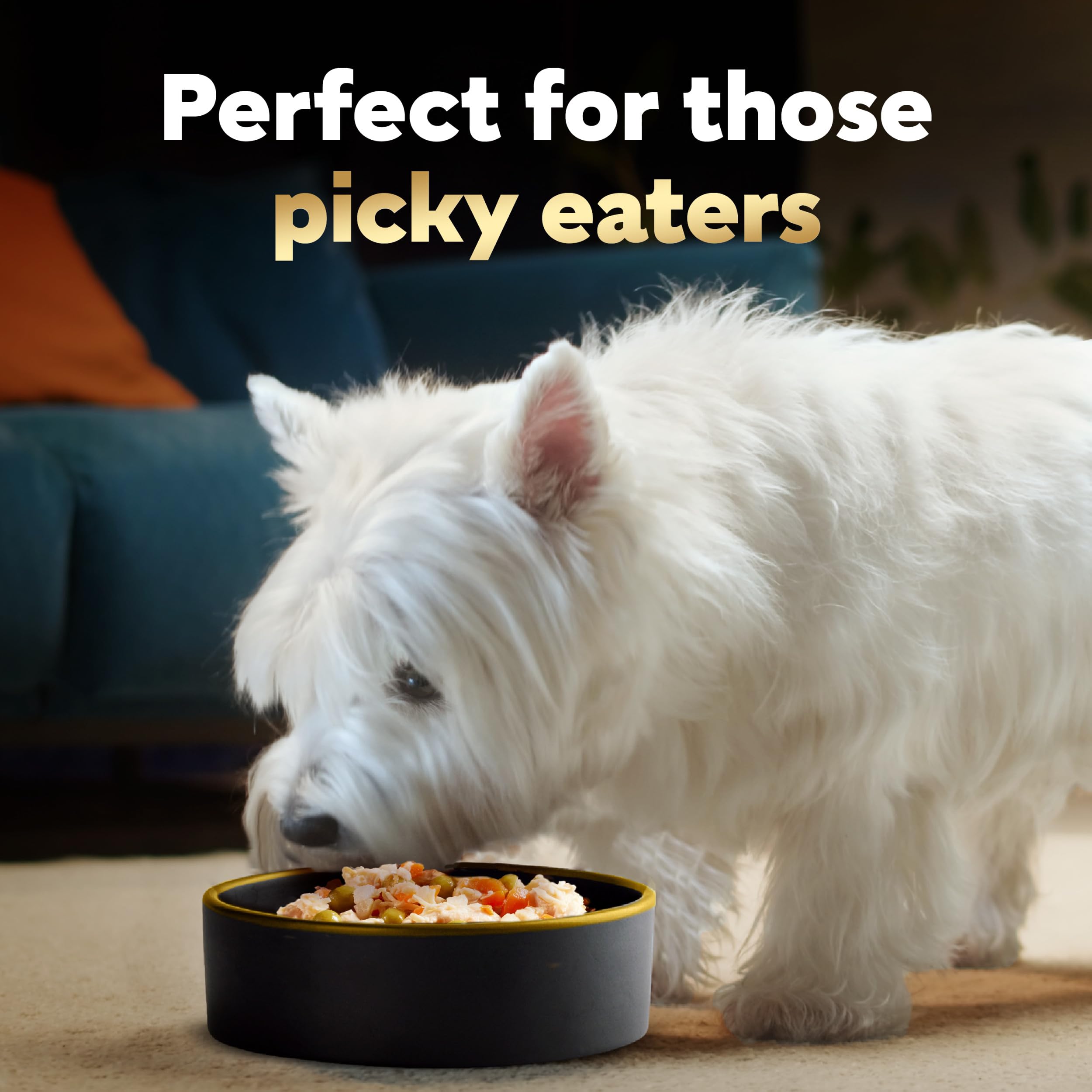 Premium Cesar Simply Crafted Wet Dog Food Topper Variety Pack - Chicken & Beef Flavors with Vegetables - Grain-Free, Natural Ingredients - 8 Trays (Pack of 2) - Perfect for Picky Eaters & Meal Enhancement