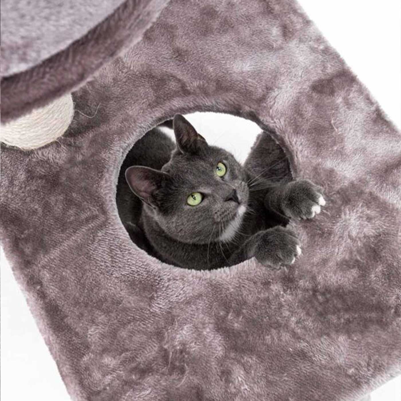 Little Rebels Seattle 89cm Cat Tree with Scratching Posts & Perches - Premium Cat Climbing Tower for Indoor Cats - Perfect for Small Spaces & Playtime