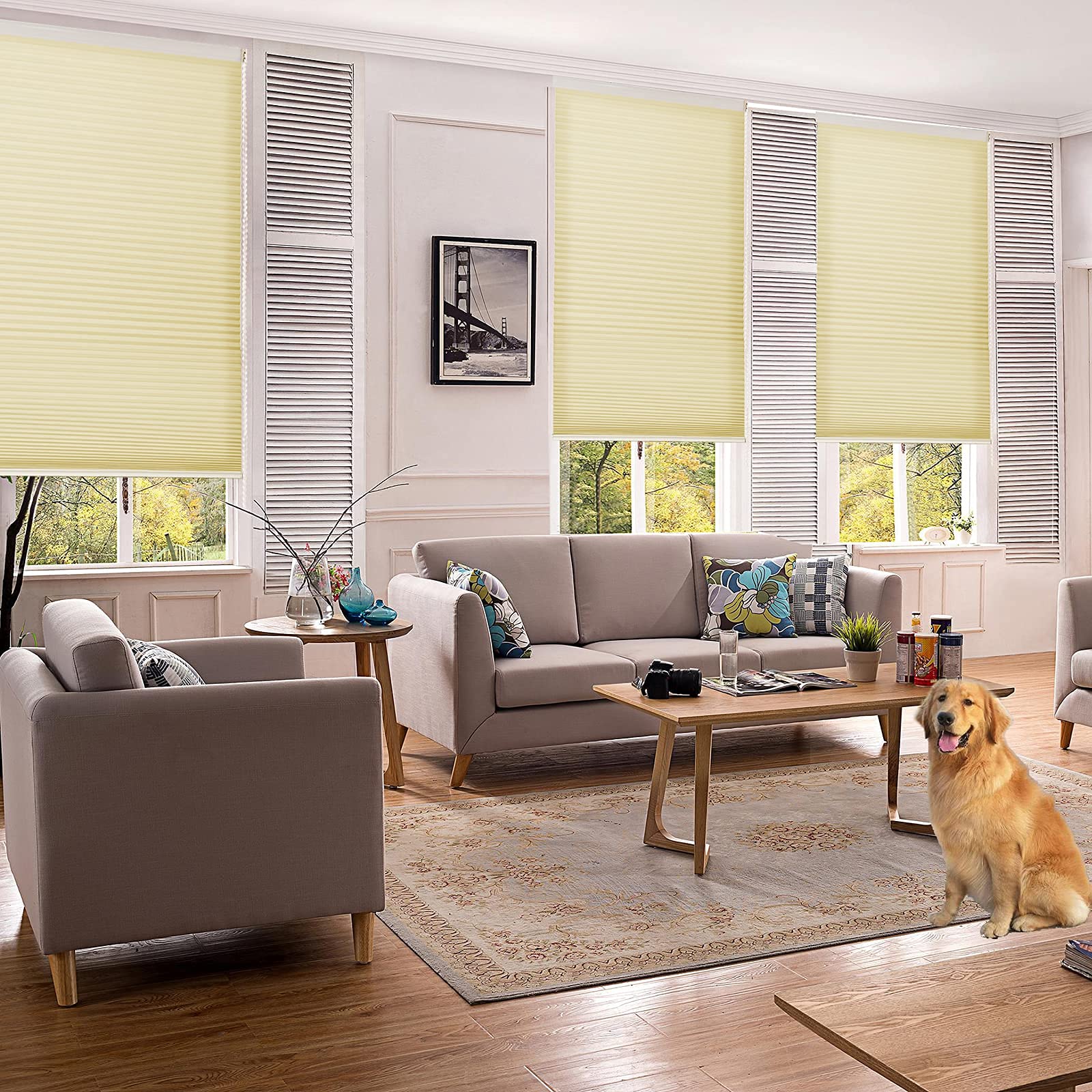 SUAKY Custom Honeycomb Blinds - Light Filtering Beige Cellular Shades for Windows, Bottom Up Design, Perfect for Living Rooms and Bedrooms