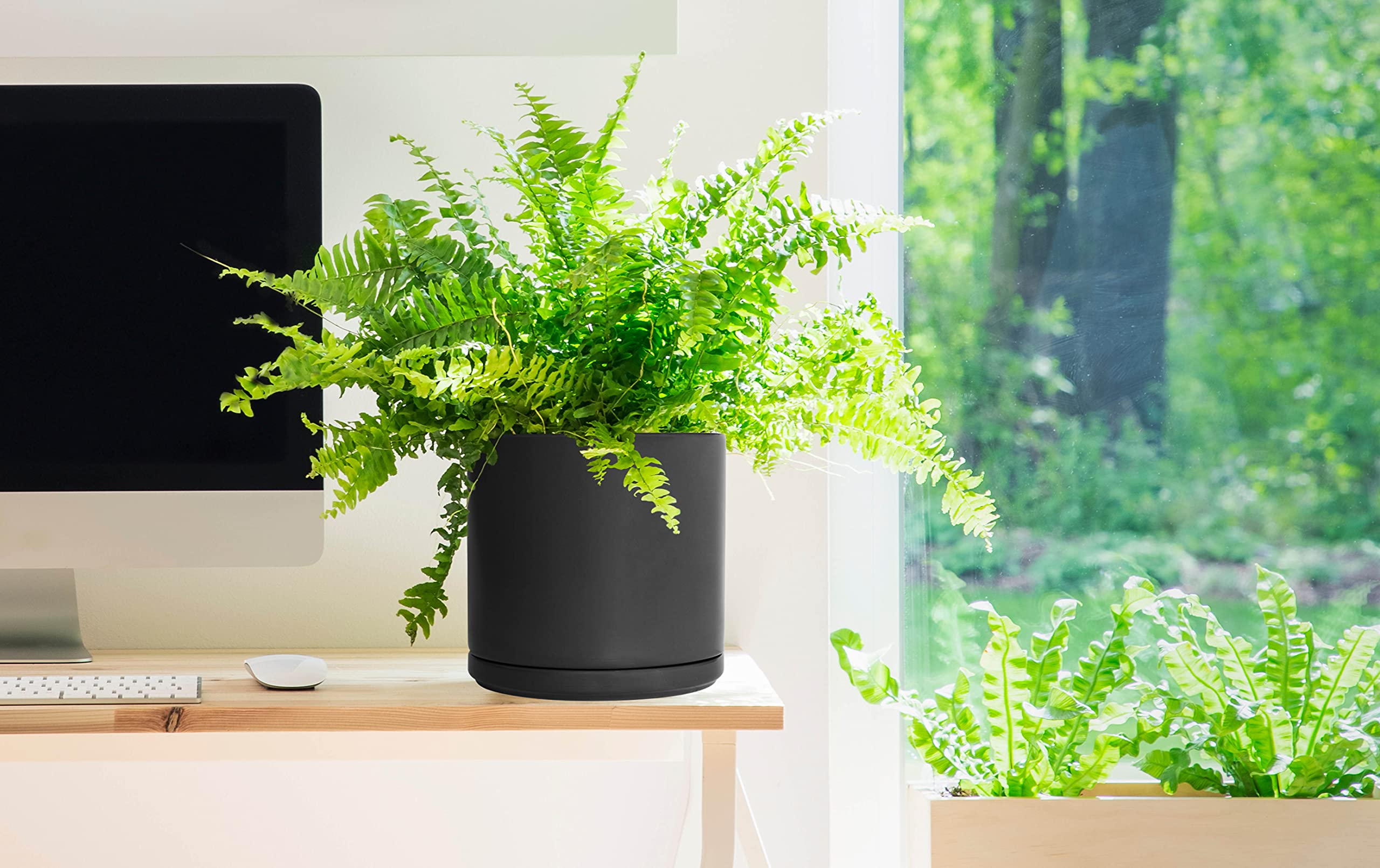 D'vine Dev 10 Inch Ceramic Flower Pot with Drainage Hole & Saucer - Modern Round Indoor Plant Pot for Home Decor, Office, Living Room - Black (94-O-E-2)