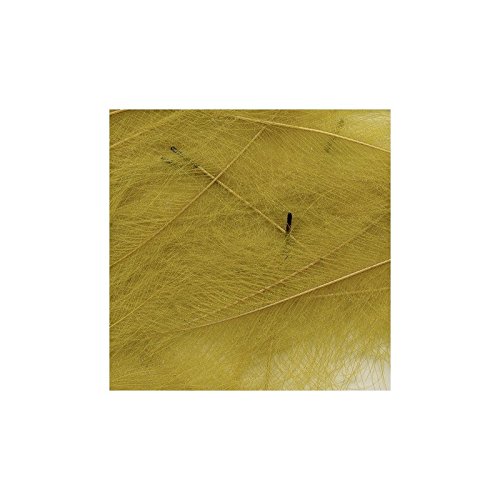 Petitjean CDC Feathers 1 Gram Bags - Premium Dry Fly Fishing Materials for Trout & Salmon - Perfect for Fly Tying & Fly Fishing Accessories