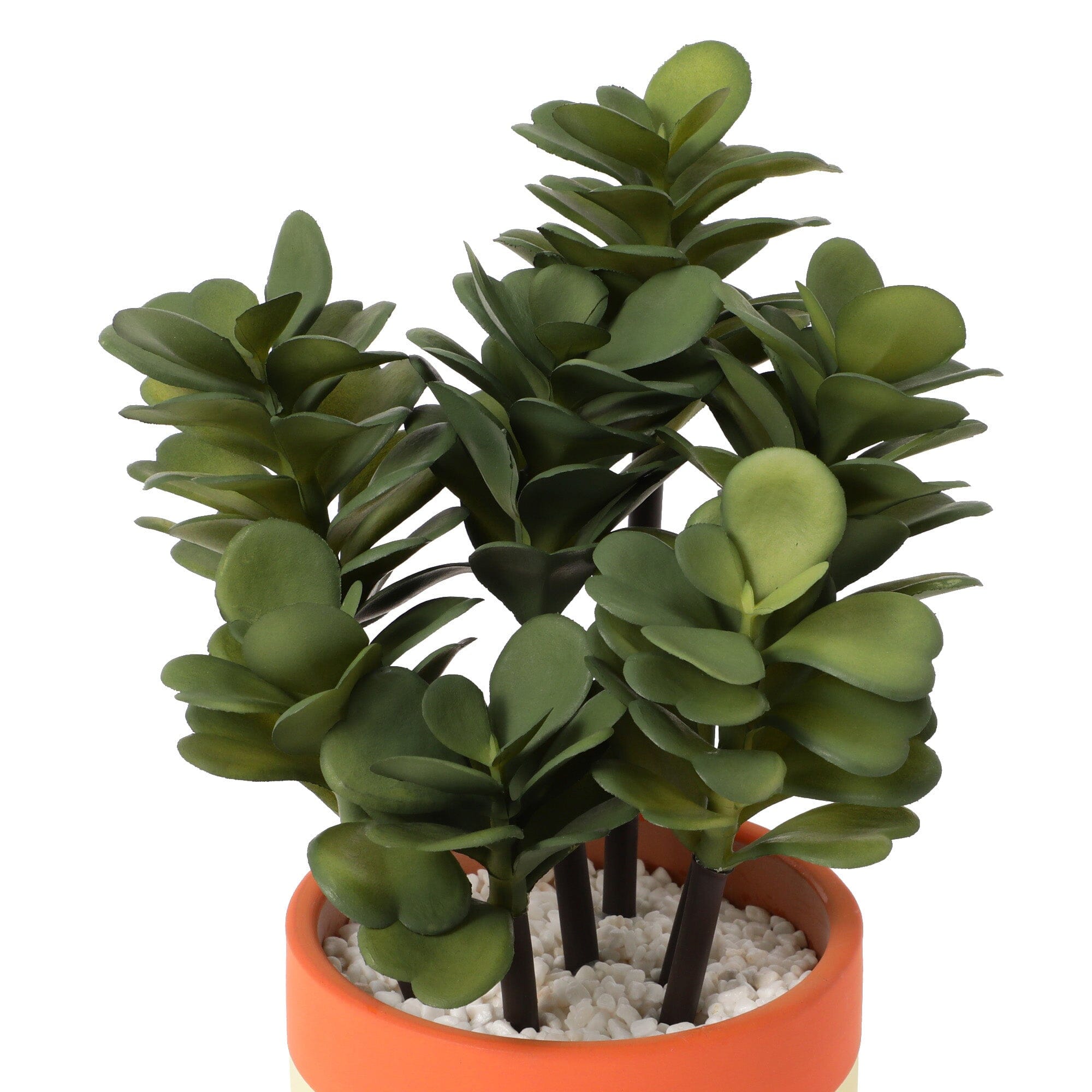 Art Green & Pot Succulents - Beautiful Live Succulent Plants for Home Decor, Office Desk, and Garden - Perfect for Indoor and Outdoor Planting