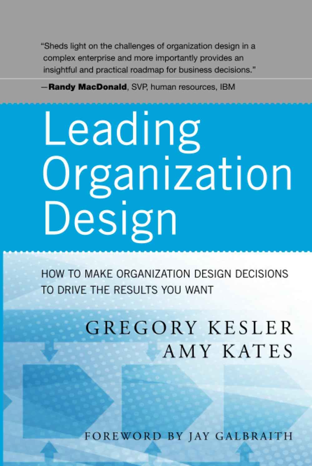 Leading Organization Design: Strategic Decisions to Drive Results for Business Growth and Team Efficiency
