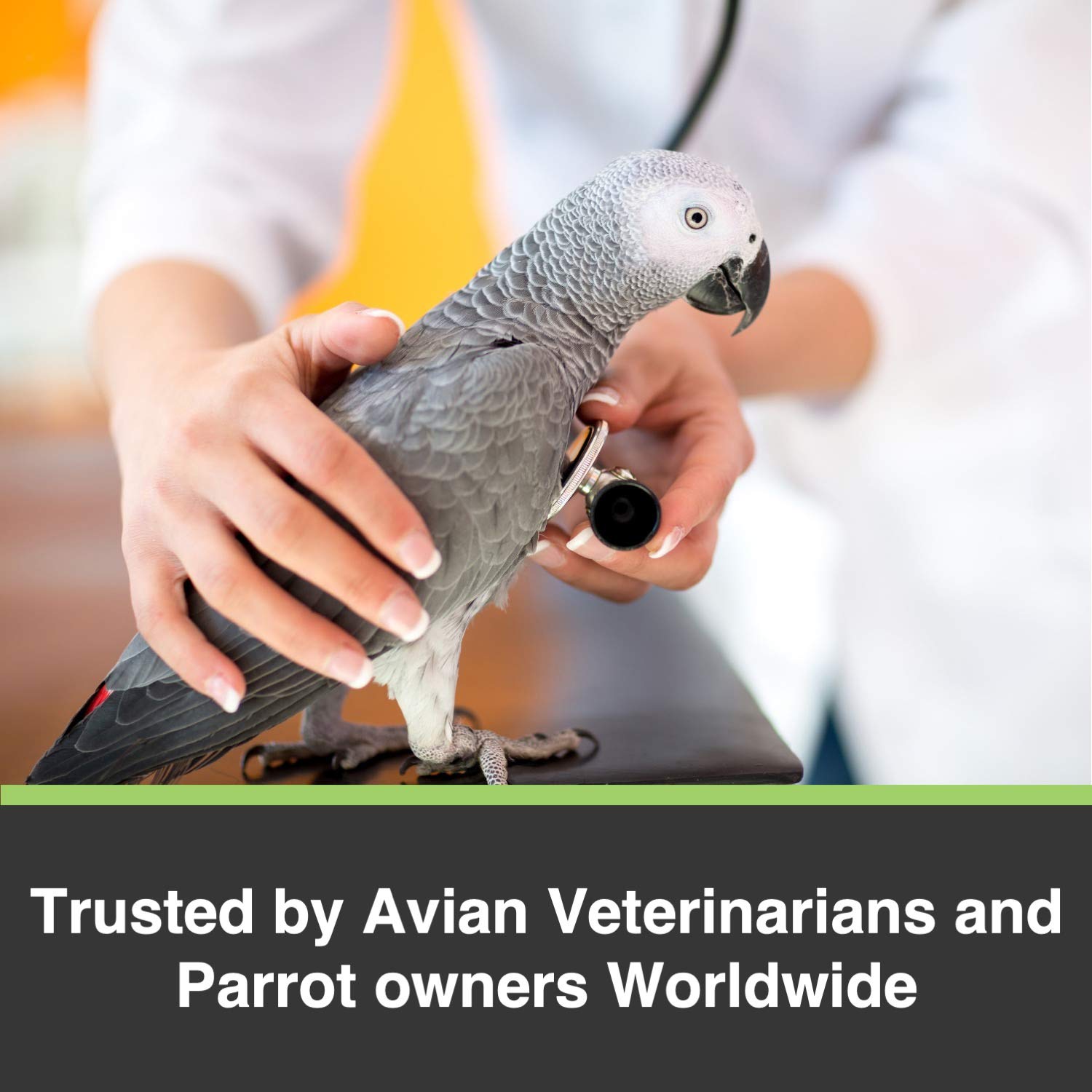 Premium Tropican Bird Food - Hagen Parrot Food Sticks with Essential Vitamins & Minerals | High Performance Nutrition Formula for Birds | 20 lb Bag (Packaging May Vary) | Ideal for Parrots, Cockatoos & Macaws Needing Extra Nutrition Support